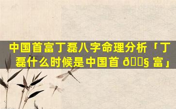 中国首富丁磊八字命理分析「丁磊什么时候是中国首 🐧 富」
